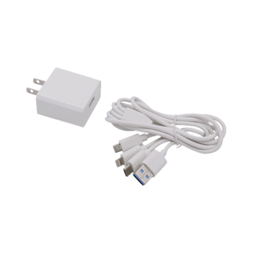 Miniatura 2 de Cargador Epcom PL52C 100 - 240 V, Universal, Interior, Blanco